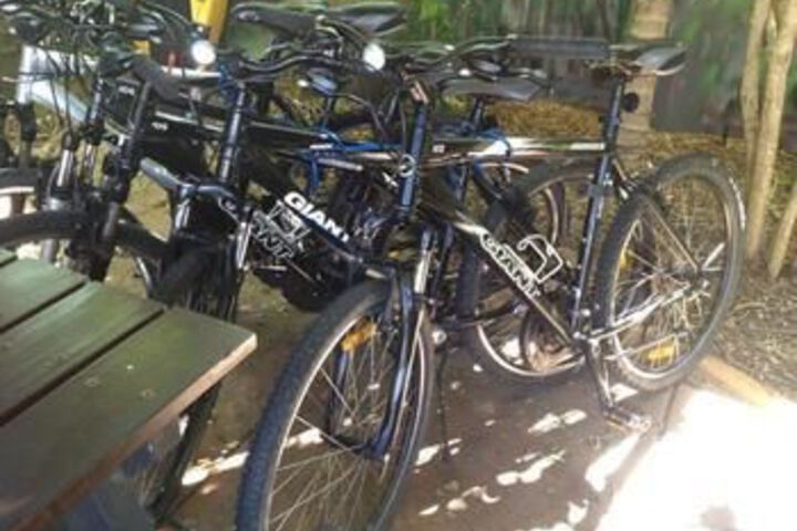 Outdoor Activities 5 of 18