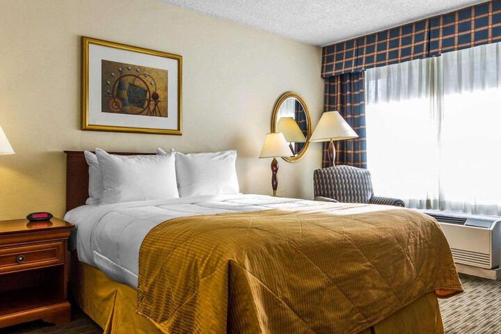 Standard | King Bed (4 of 15)