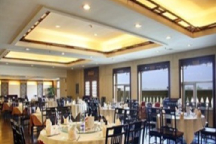 Dining 8 of 13