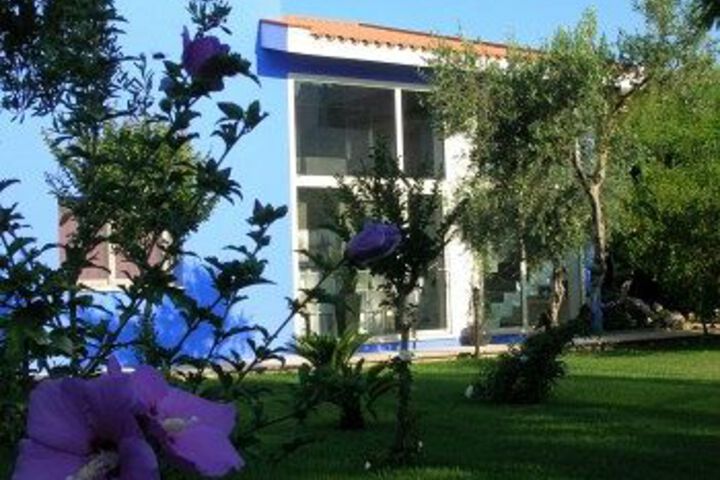 JACARANDA
