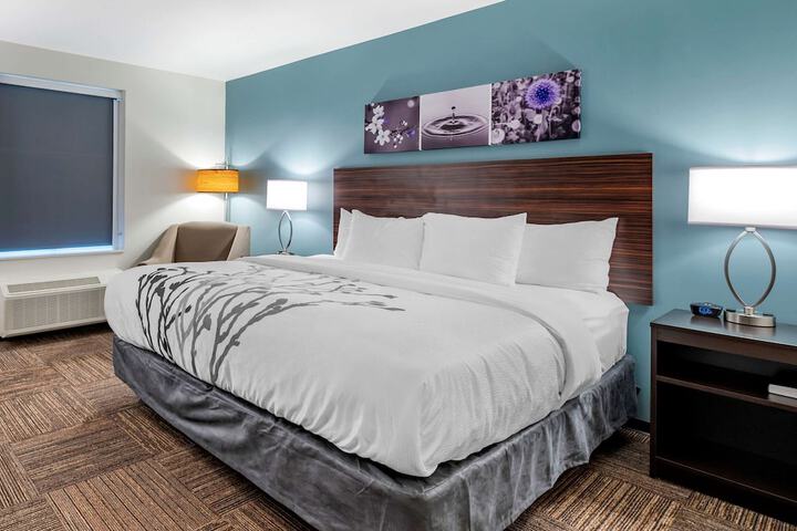 1 King Bed (5 of 7)