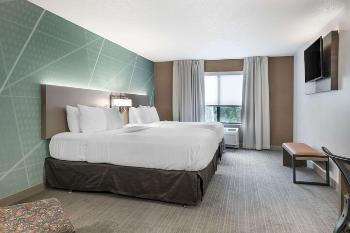 2 Queen Beds (2 of 6)