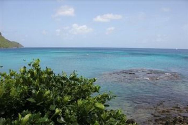 Beach 10 of 40