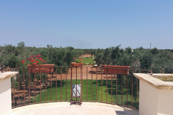 Terrace/Patio 25 of 45
