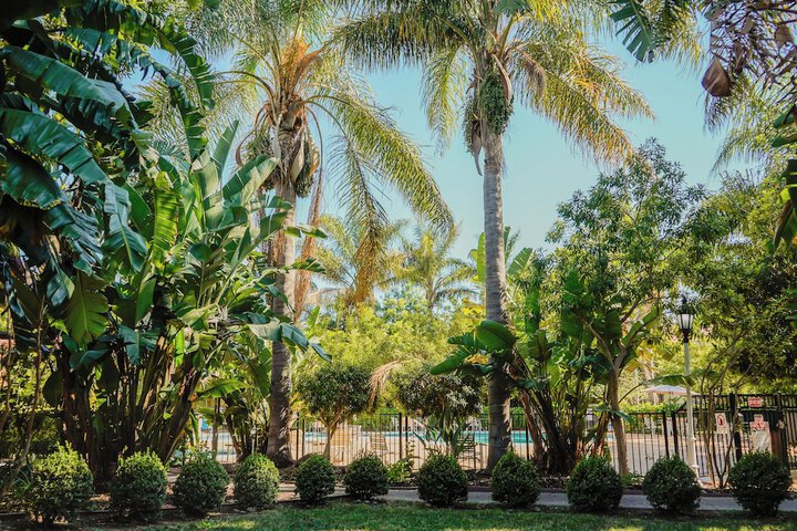 Garden view