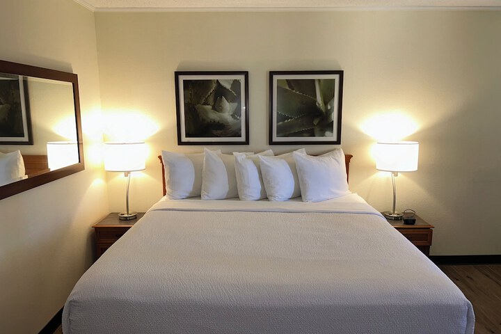 Deluxe 2 Double Beds (11 of 13)