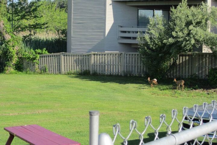 Property Grounds 76 of 78