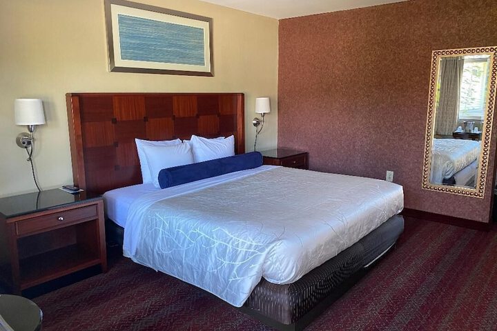 1 King Bed (8 of 12)