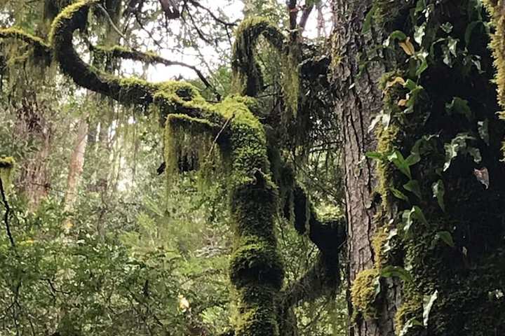 Outdoor Activities 21 of 27