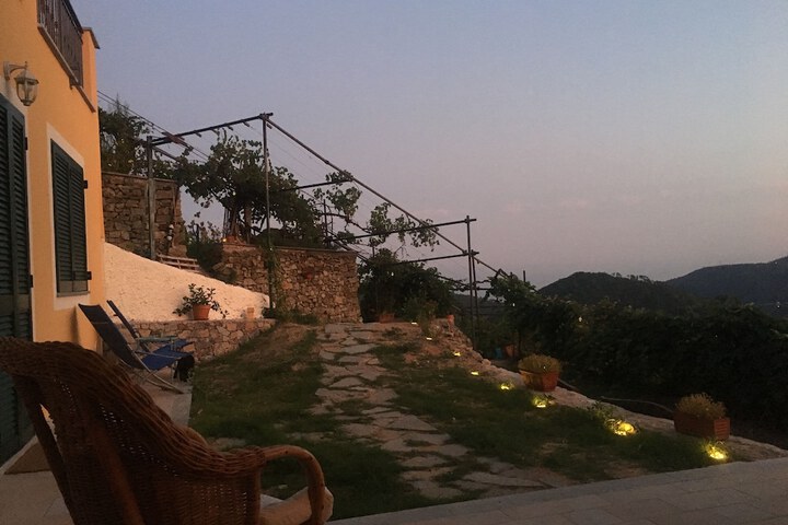 Terrace/Patio 60 of 71