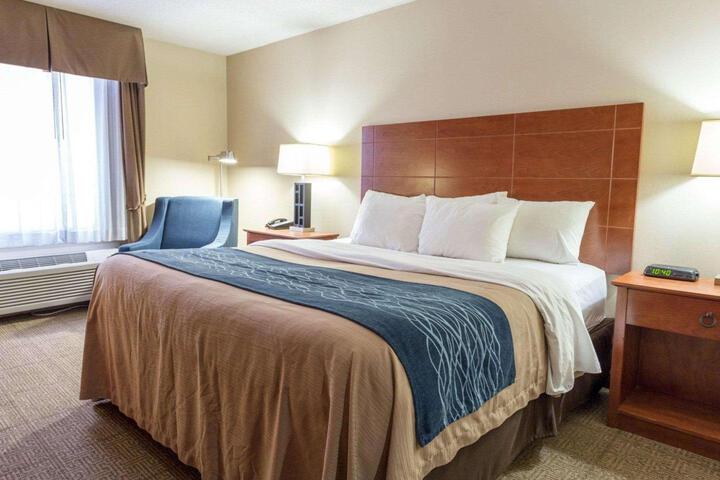 1 King Bed (2 of 8)