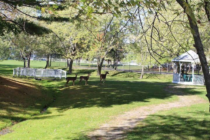 Property Grounds 84 of 116