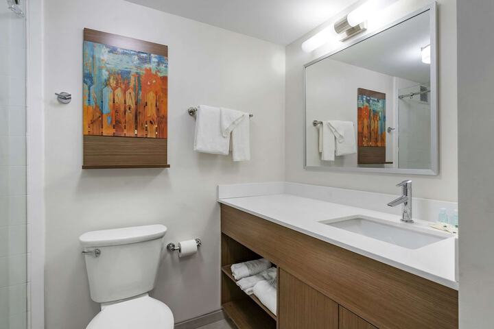 1 King Bed Suite (21 of 26)
