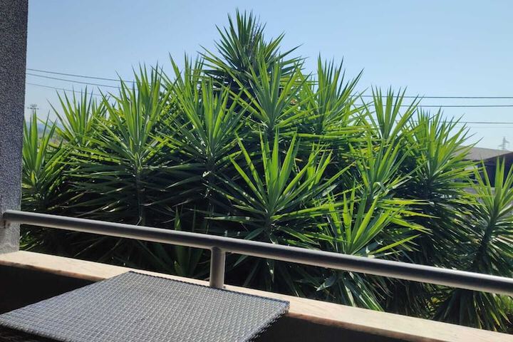 Terrace/Patio 25 of 57