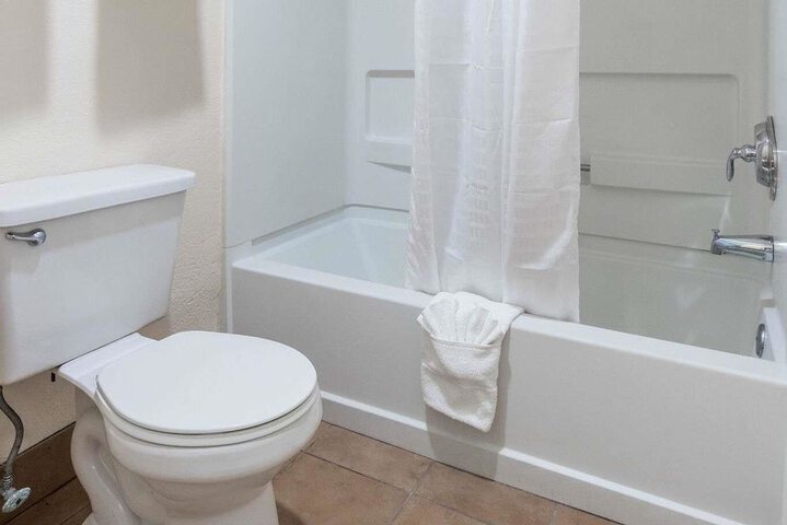 1 King Bed Mobility Hearing Impaired Accessible Room Roll in Shower (21 of 24)