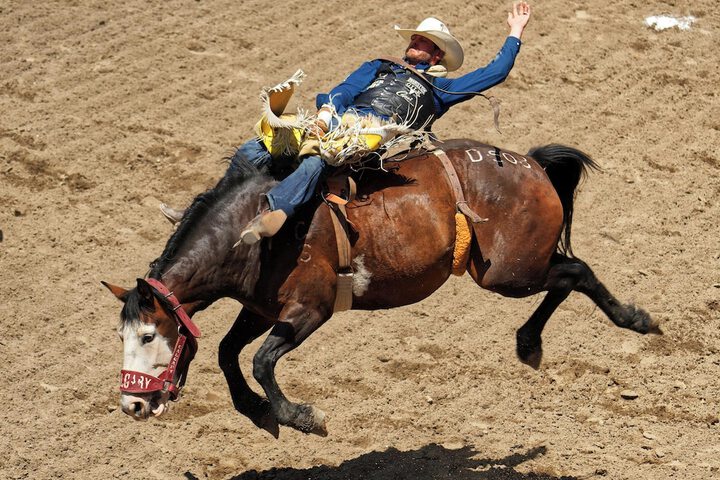 Horseback riding