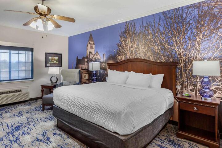 1 King Bed (8 of 22)
