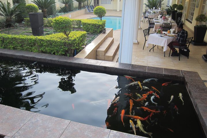 Pool Hotel