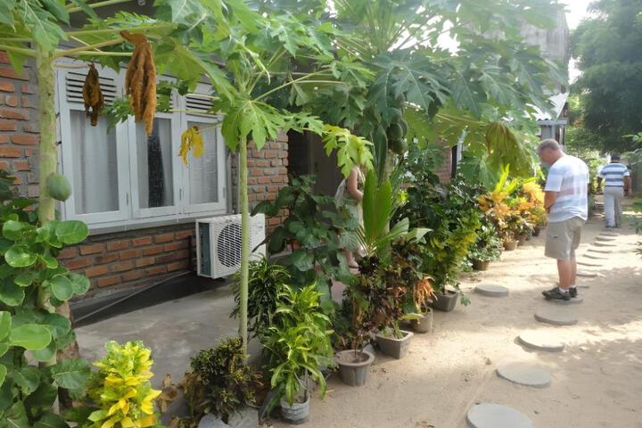 The Mermaids Village