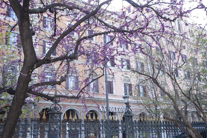 Hotel 67 of 75