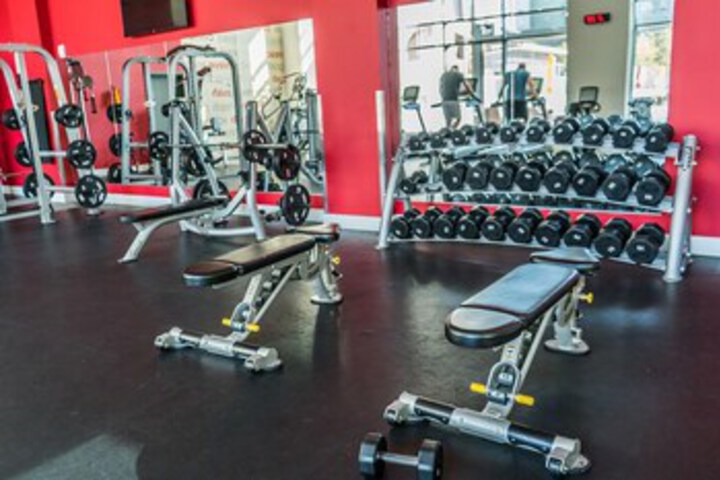 Health and Fitness 19 of 57