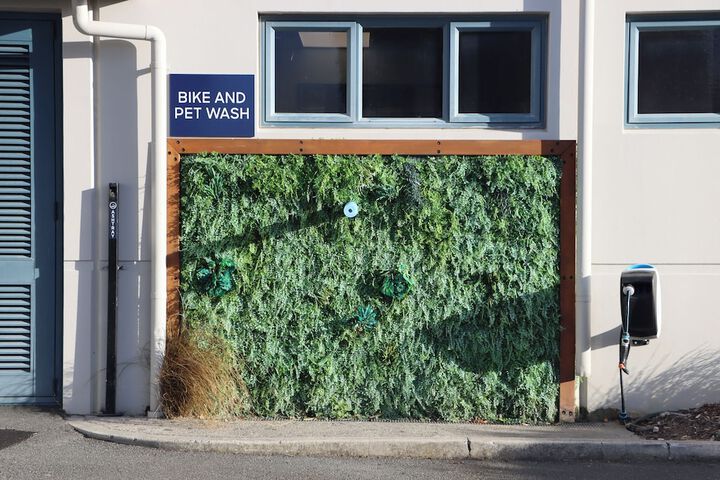 Pet-friendly amenities