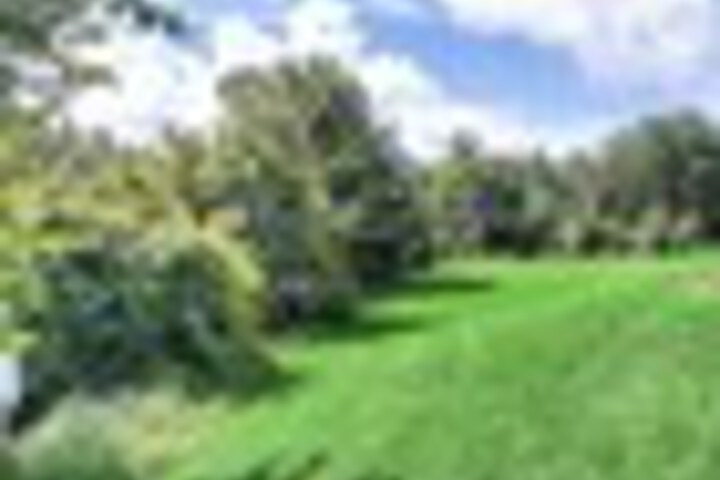 Property Grounds 269 of 294