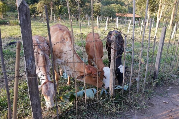 Property Grounds 19 of 26