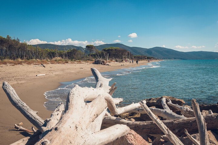 Beach 52 of 63