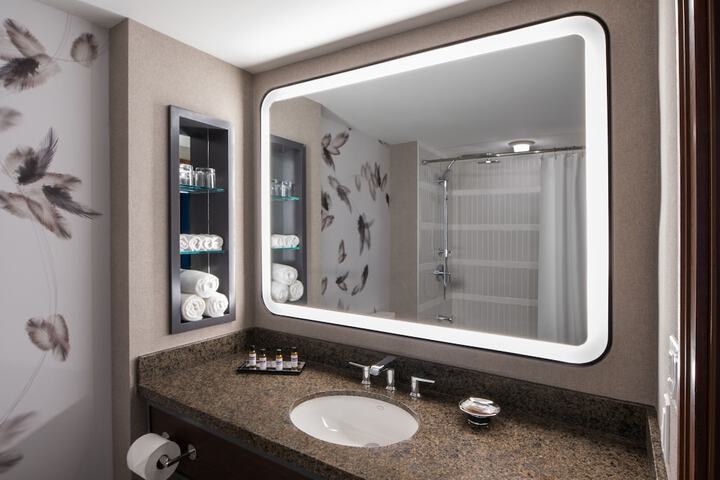 1 King Bed Bathtub Accessible (16 of 17)