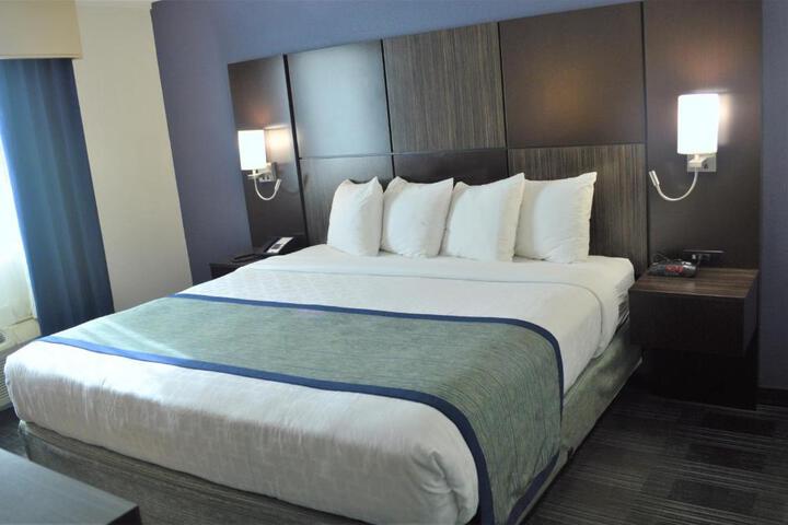 1 King Bed (4 of 9)