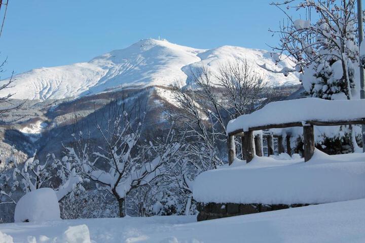 General 24 of 33