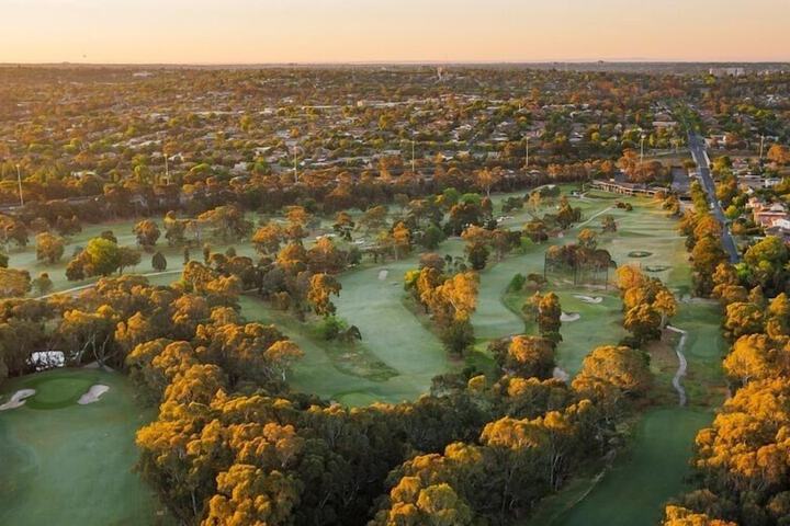 Golf 29 of 33