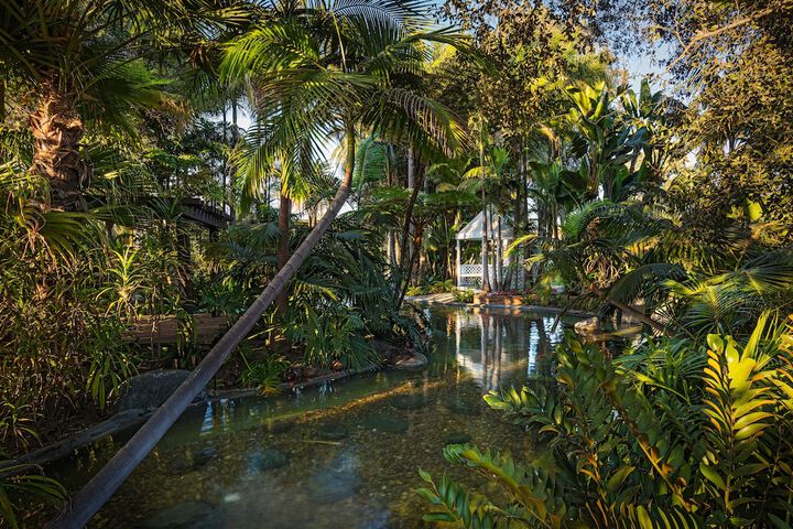 Garden view