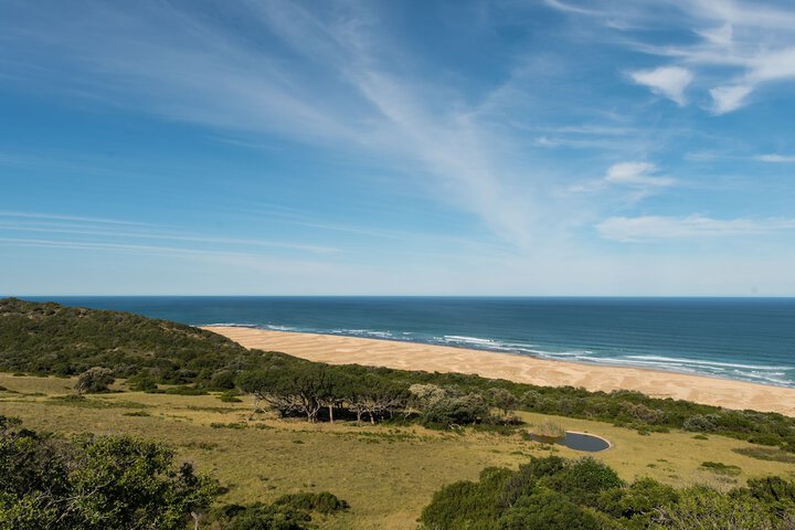 Beach 73 of 84