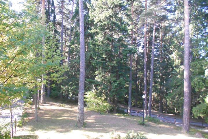 Property Grounds 36 of 47