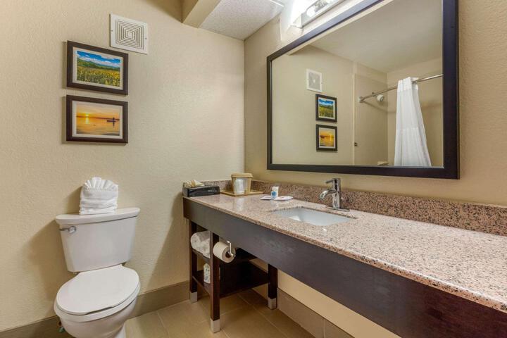 1 King Bed Accessible (8 of 13)