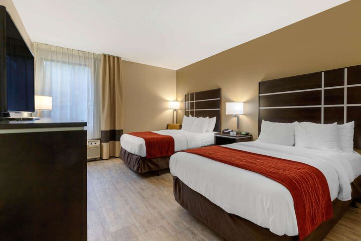 Standard Room, King or Two Doubles (1 of 11)