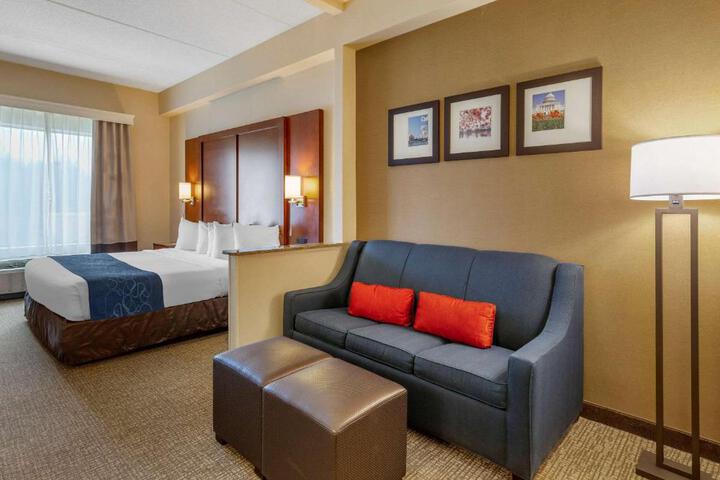 1 King Bed Suite (4 of 29)