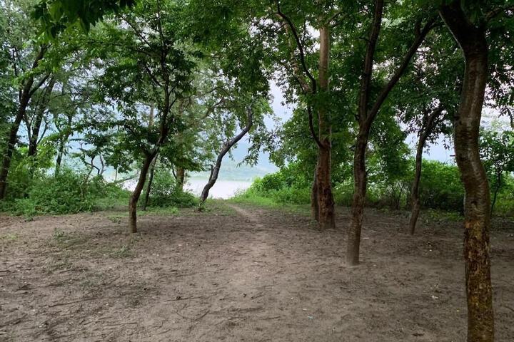 Property Grounds 12 of 21