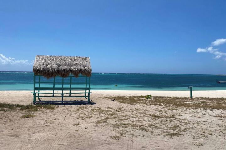 Beach 66 of 81