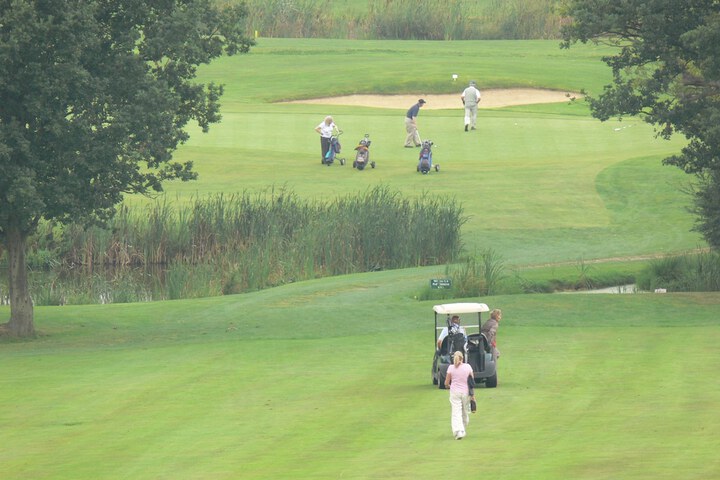 Golf 8 of 42