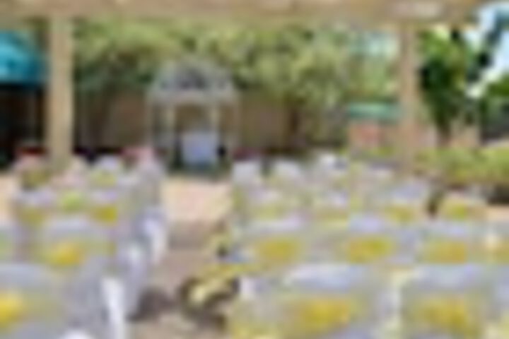 Outdoor wedding area