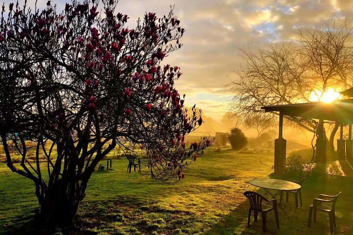 Wedding/Banquet 35 of 58