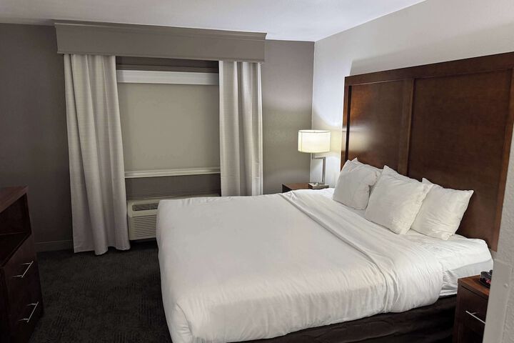 1 King Bed Suite (10 of 23)