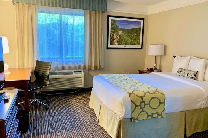 Double Accessible King Size Bed (7 of 9)