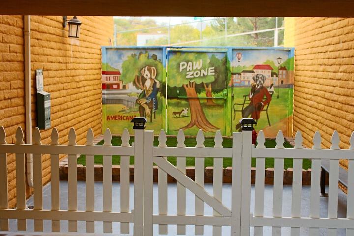 Pet-friendly amenities