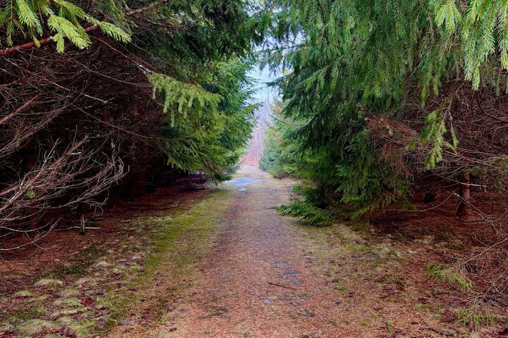 Property Grounds 29 of 39