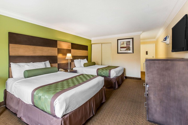 2 Queen Beds (8 of 8)
