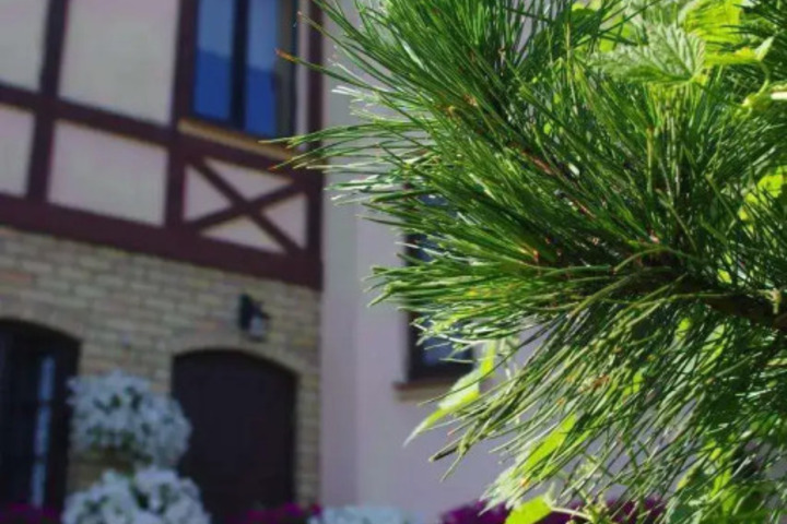 General 30 of 34